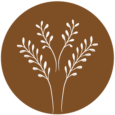 boden_icon