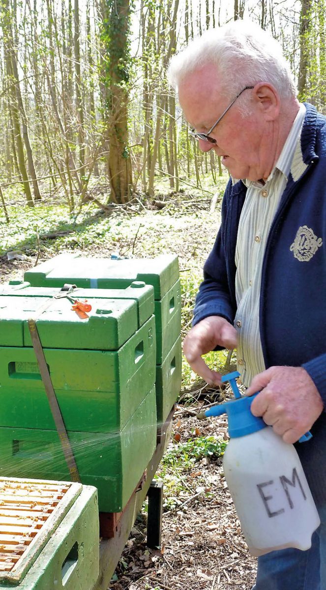 EM Spritzung Bienenstock