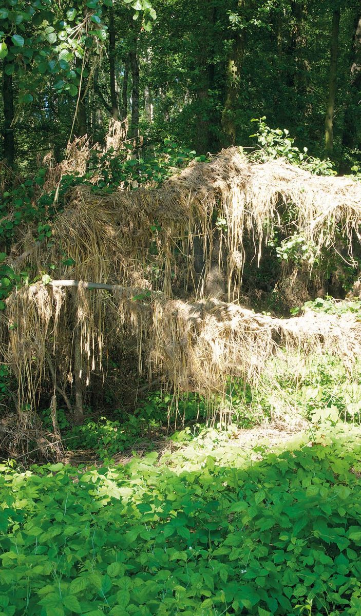 Auch wenn junges Grün die Schäden in der Landschaft überdeckt, schlummern Reste von Öl und Chemikalien darunter.