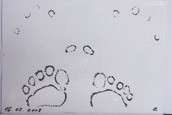 Kirlian Foto Fingerspitzen und Zehen mit den EM-Testplättchen
