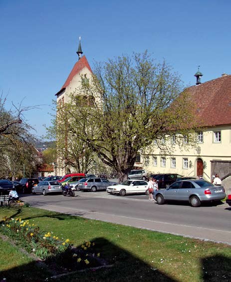 Die Kastanien vor dem Rathaus und dem Münster in Reinau