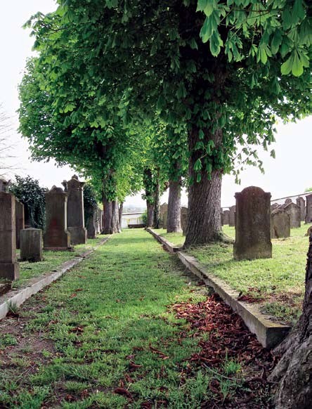 Der jüdische Friedhof in Ihringen am Kaiserstuhl mit den prächtigen Kastanien