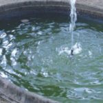 algen- und geruchsfrei