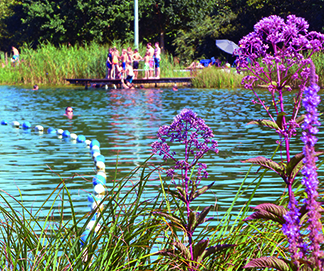 Grüne Lagune von Ampfing - größtes Naturschwimmbad Bayerns