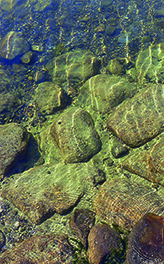 Klares Wasser eines Naturschwimmbads im Sommer