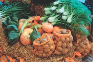EM-Gemüse im Herbst
