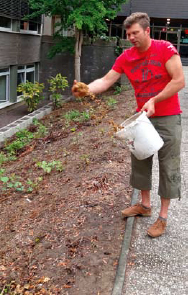 Ausbringen EMa fermentierter Sägespäne