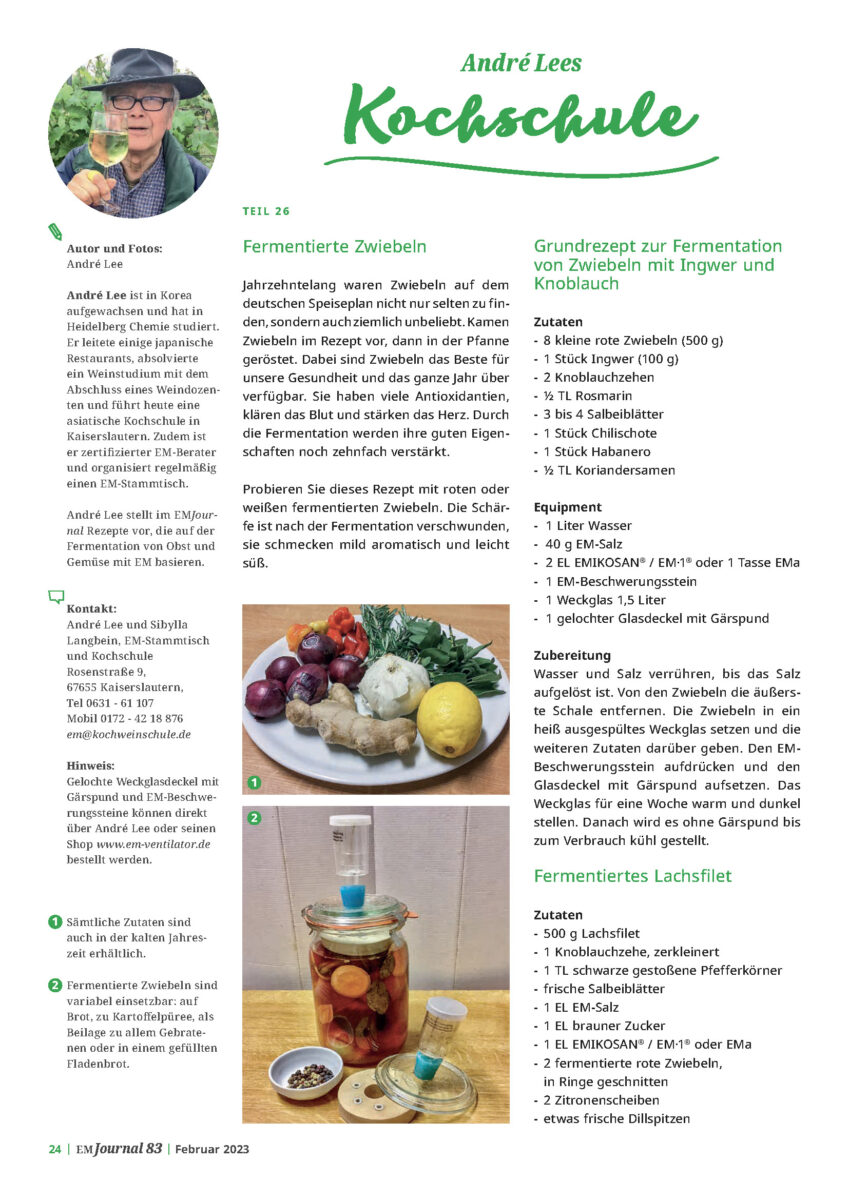 Fermentierte Zwiebeln