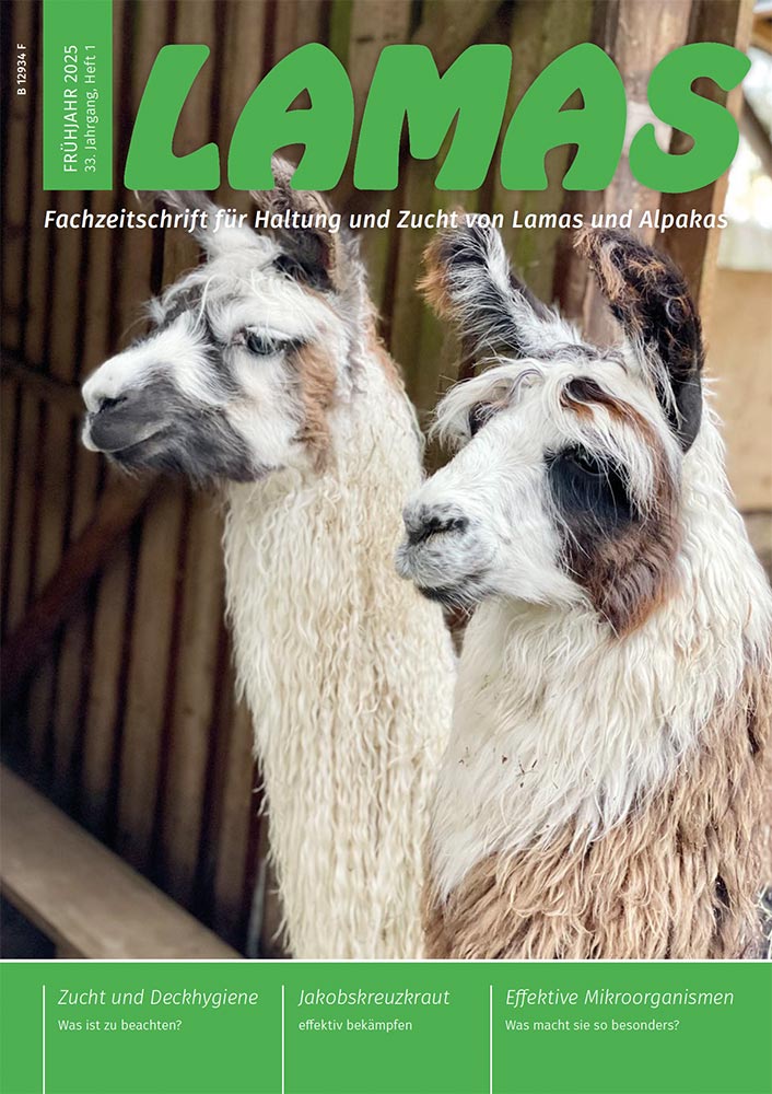 EM-Bericht im Lamas