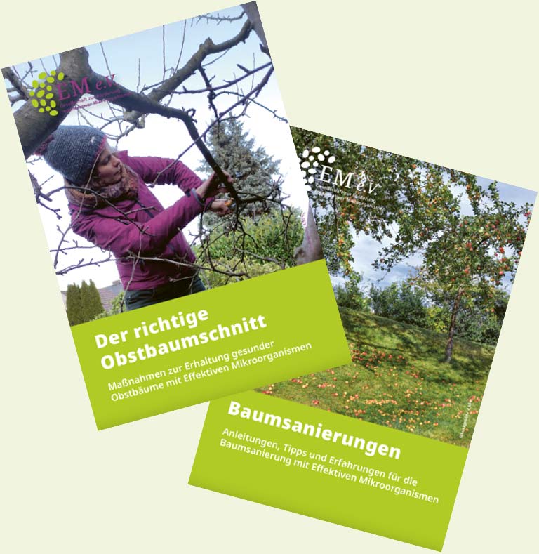 Baum-Broschüren
