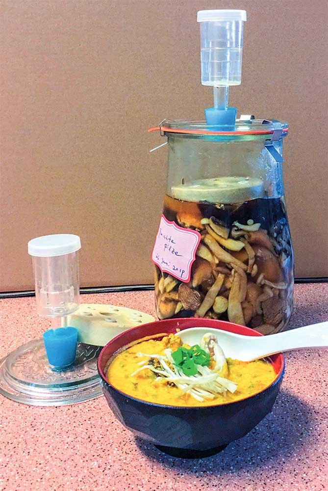 Fermentierte Pilze und Suppe