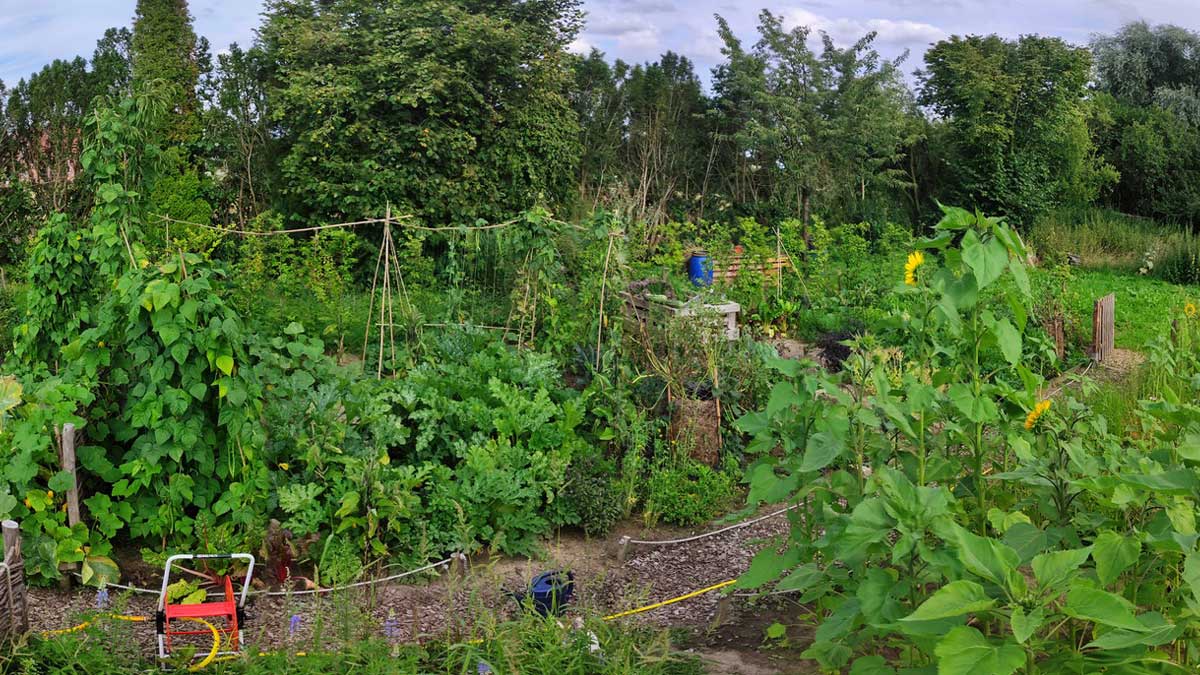 Regenerative Maßnahmen im Hausgarten