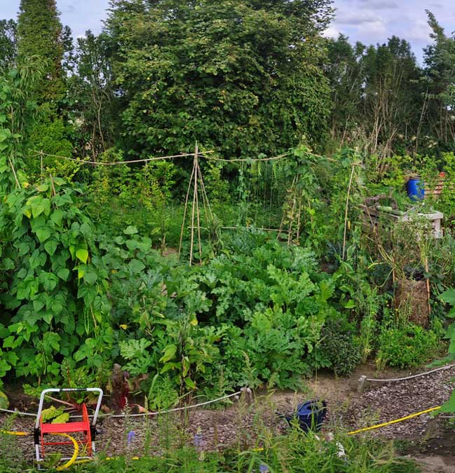 Regenerative Maßnahmen im Hausgarten