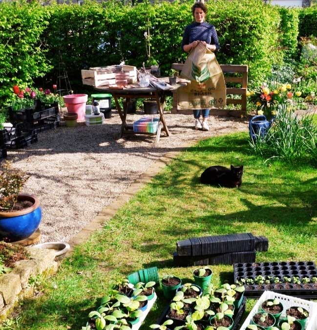 Reiche Ernte auf kleiner Fläche