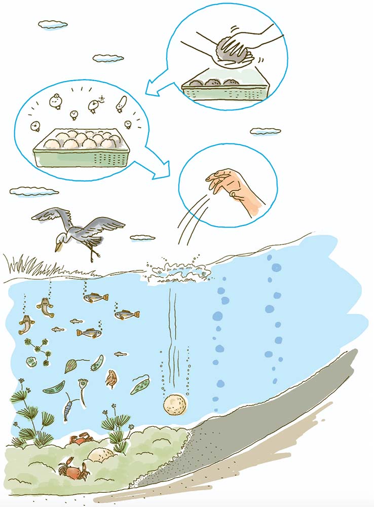 Illustration