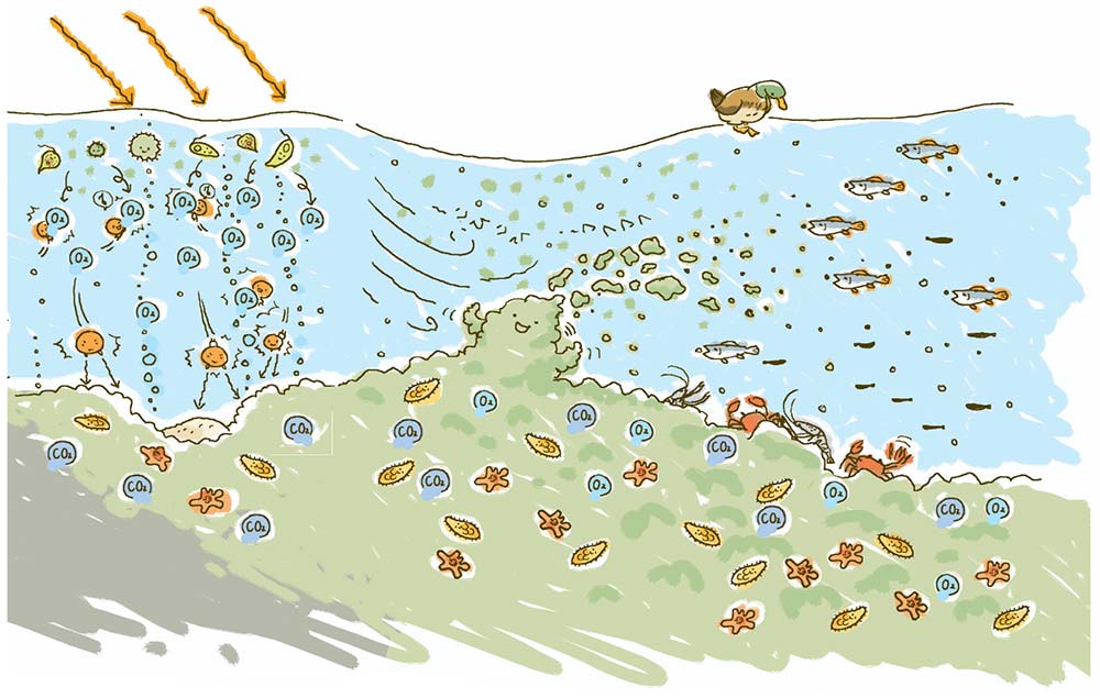 Illustration
