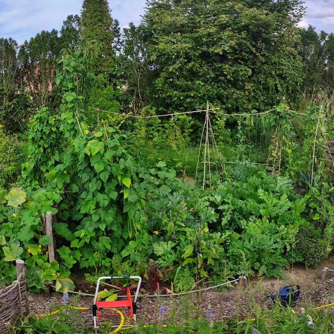 Gartenbau